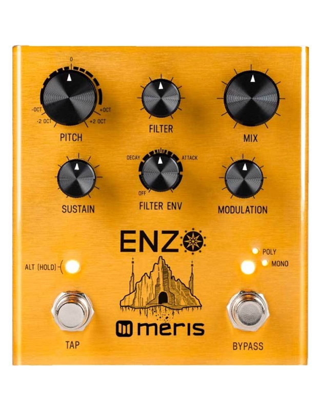 MERIS Enzo Multi-Voice Synthesizer Pedal