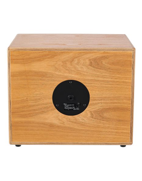 ORTEGA S ONE Acoustic Instrument Speaker Cabinet (Ex-Demo product)