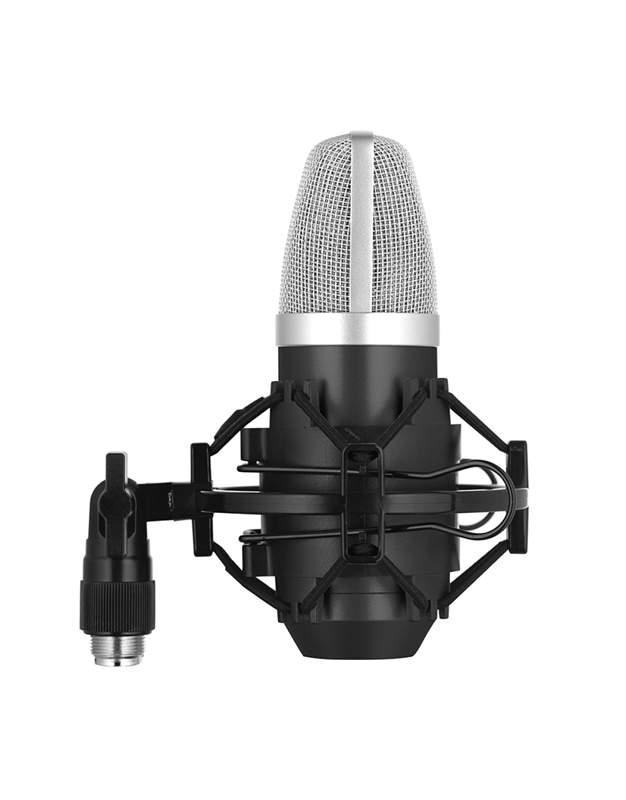 STAGG SUM-40-USB Condenser Microphone with Shock Mount 