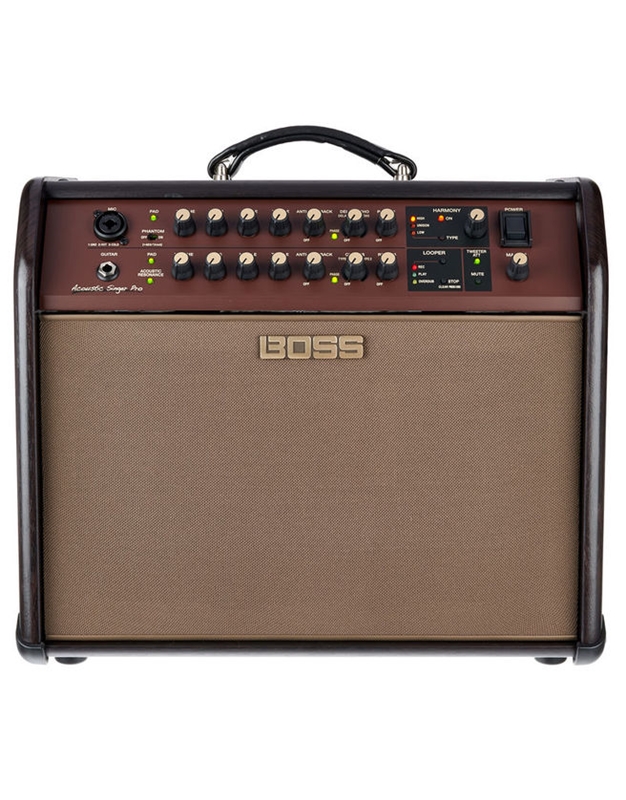 BOSS ACS-PRO Acoustic Instruments/Vocal Amplifier 120W