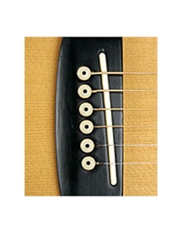 D'Addario - Planet Waves White end pins  for acoustic guitar PWPS 12