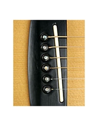 D'Addario - Planet Waves White end pins from ebony for acoustic guitar PWPS 1