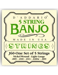 D'Addario 5-String Banjo