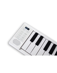 CARRY-ON Folding Piano 49 Portable Keyboard