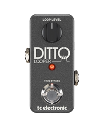 TC ELECTRONIC Ditto Looper Effect Pedal