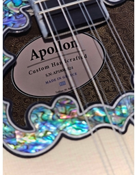 APOLLON Professional 8-strings Greek Bouzouki with Softlight Case