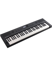 ROLAND GO:KEYS 5 GT Graphite Grey Keyboard / Ηλεκτρικό Πιάνο
